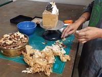 IMG_20191107_104641_2